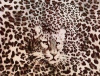 Kunstleder bedruckt - "Leopard" beige - 50x70 cm