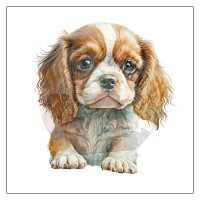 Kunstleder Panel - "Puppy Cavalier king charles welpe Motiv10 - 25x25 cm